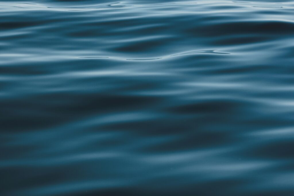 wasser wasser