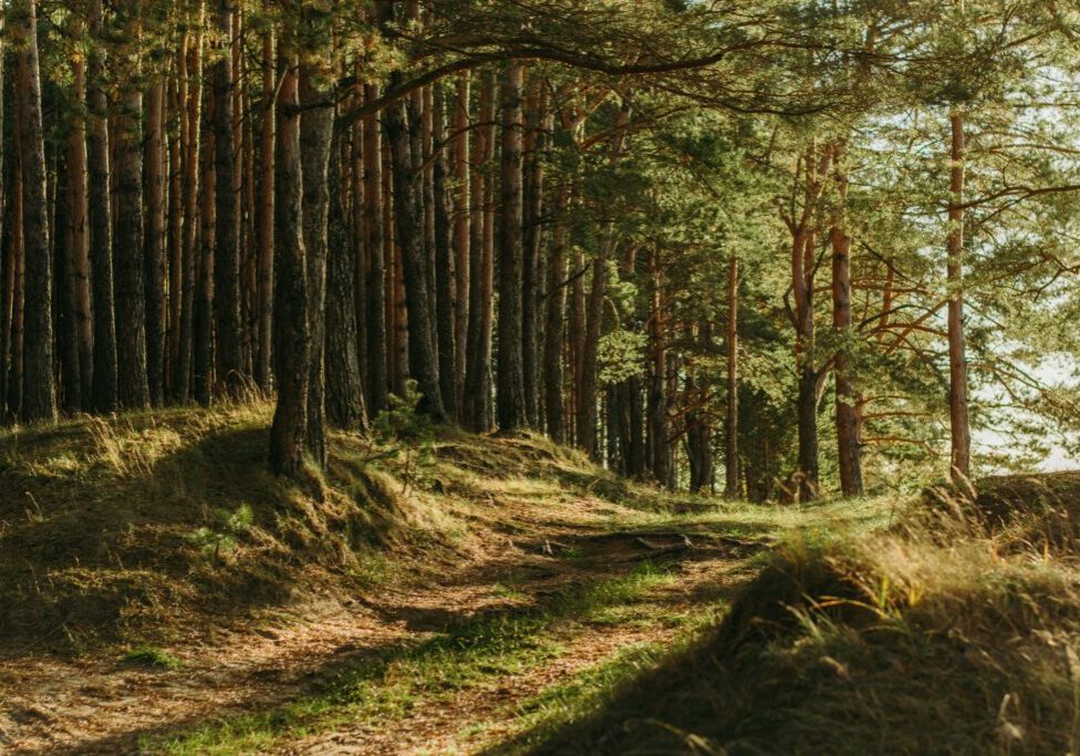wandern